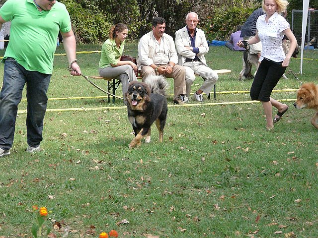 img 155.jpg